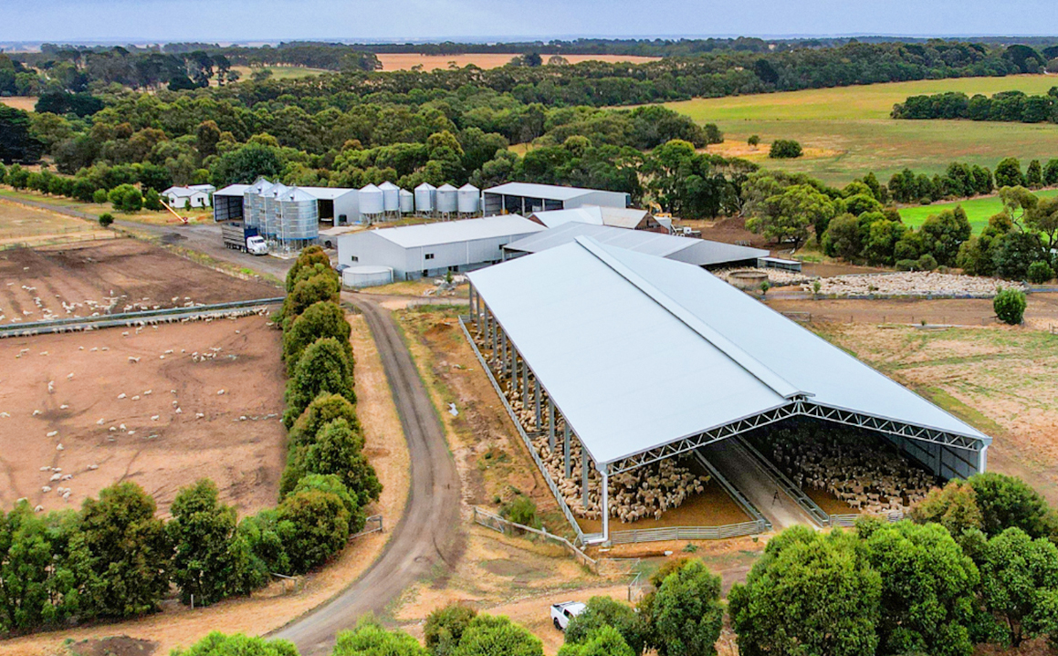 Aluminum Alloy Window Prefab Steel Construction Agricultural Building for Cattle Barn