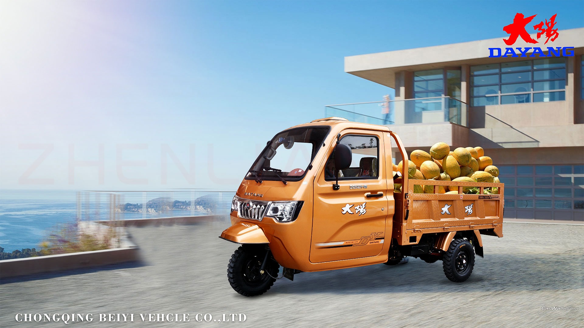 Reversible Lifan 200cc Engine Motocarro Delivery Van with Closed Cabin Cargo Tricycle