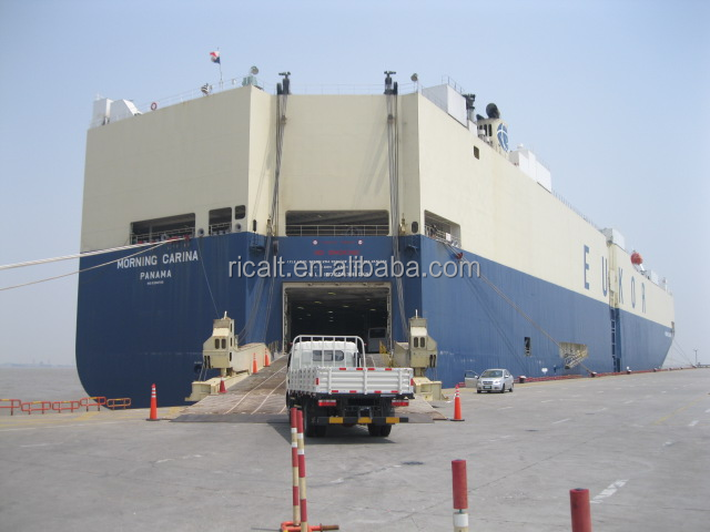 Dongfeng 4x2 5T 10T AWD Customized Desert Off-Road Cargo Truck with 125kw Engine
