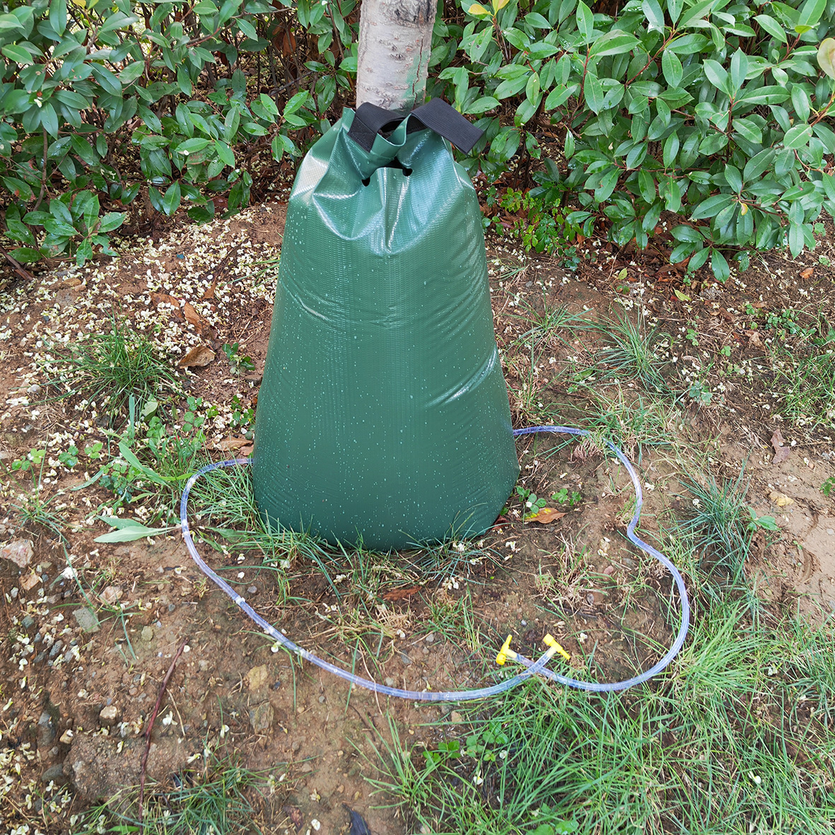 SAVE WATER with Slow Release Drip Tree Irrigation System Watering Bag Green 20 Gallon