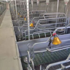 OEM ODM 304 Stainless Steel Farrowing Crates Swine Gestation Crates