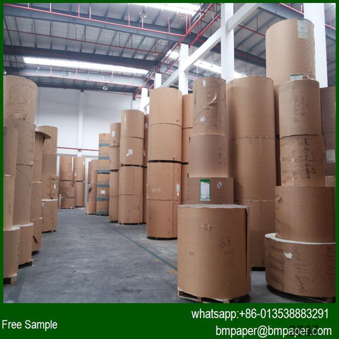 Sterilization Rolls And Pouches Of Medical Grade Paper And Tyvek