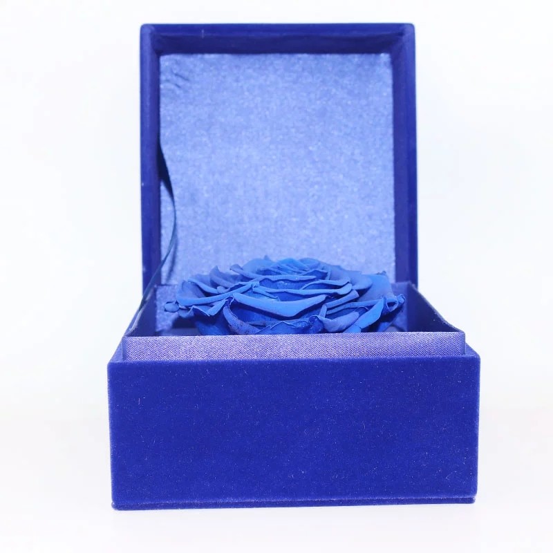 Ecuador Eternal rose luxury gift 10cm preserved rose in Velvet box preserved rose