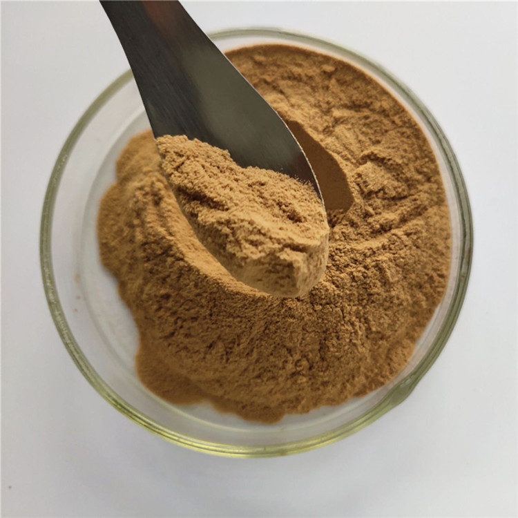 Gmp Certificate Manufacturer Fennel Seed Extract