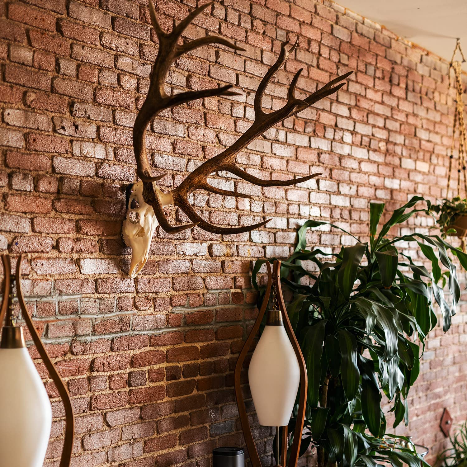 European Style Deer Hanger with Customized Thickness and Triangle Bracket Structure