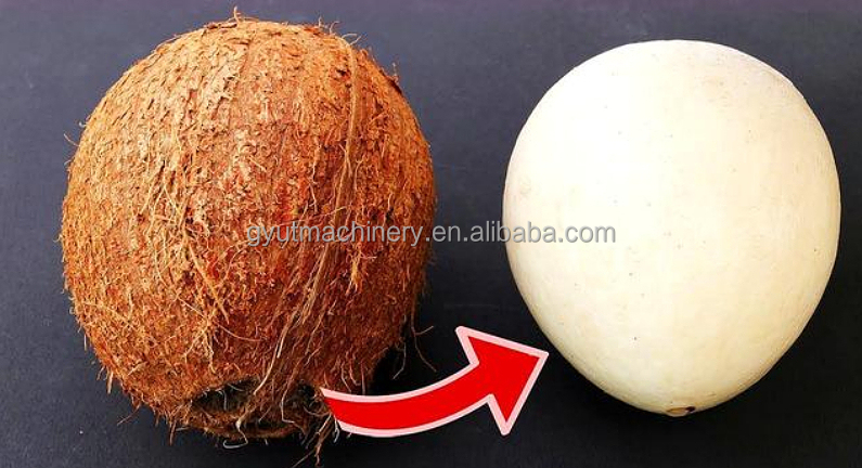 Perfect Peeling Effect Dry Brown Coconut Fiber Removing Machine for Peeling Coconuts