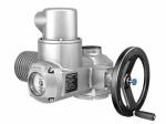 SA07.6-F10 Electric Actuator AUMA Silver 1Year Warranty With AM Or AC Integral