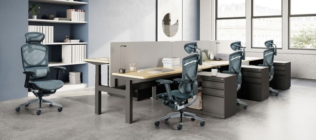 Polished Mesh Ergo Office Chair With Adjustable Depth Ergonomic