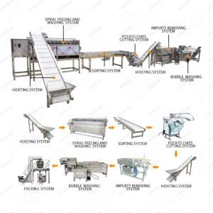 Roller Type Plum Green Plum Sorting Machine Winter Jujube Classification Machine