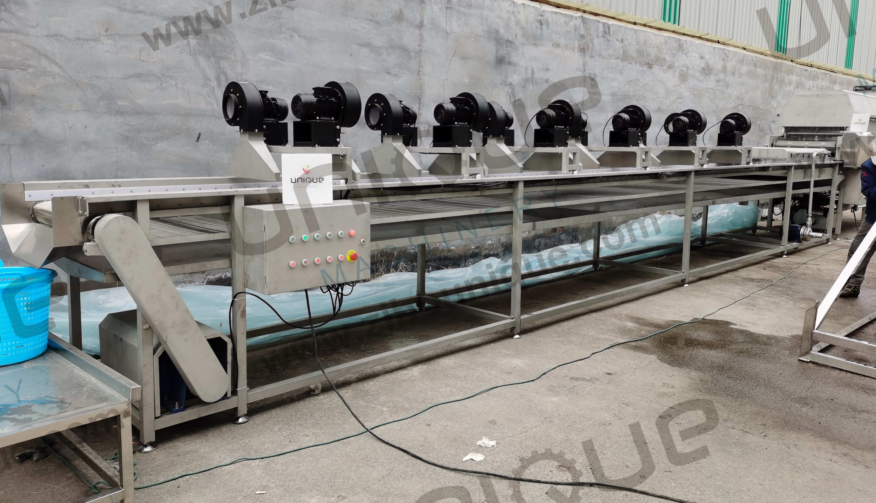 Palm Dates Washing Machine for Industrial Syrup Production in Customized Voltage