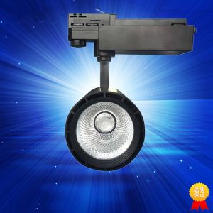 Three circuit 20W LED track light 13 /24 /38 Degree COB LED spot with 5 years