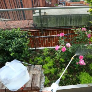 Folding Collapsible Jerry Can with Electric Automatic Garden Sprayer