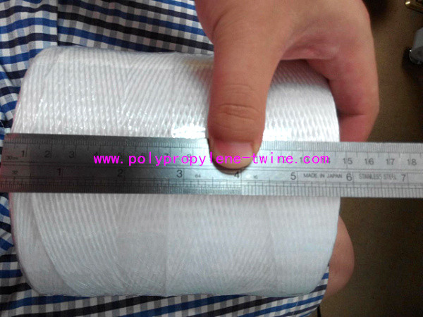 Professional Polypropylene Twine PP Baler Twine Rope High Breaking Strength