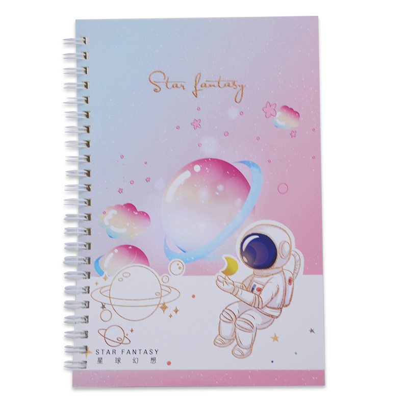 Pink Hard Cover A5 Custom Printing Notebook with Weekly Daily Planner and Paper Material