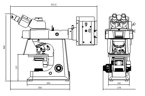 White Trinocular Lab Biological Microscope With Mechanical Stage