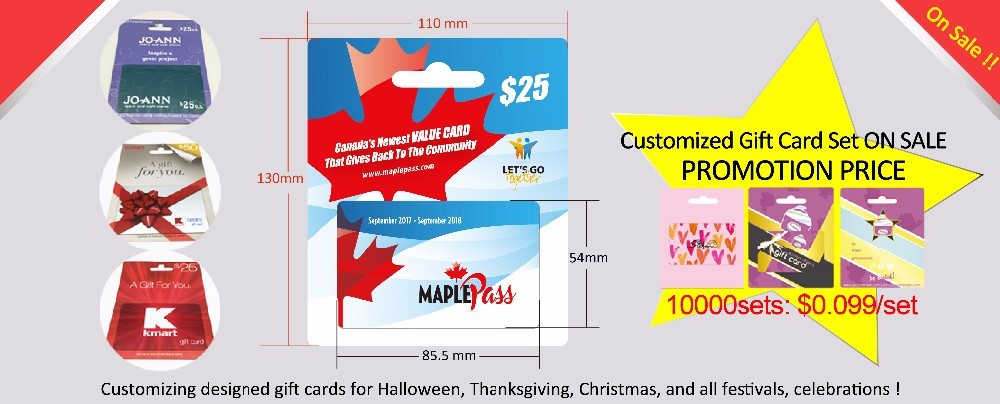 CMYK Custom Printing PVC Gift Cards Frosted Surface With Paper Card Packaging