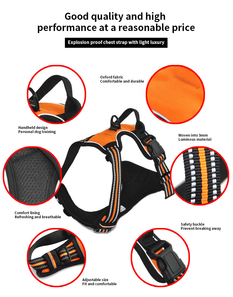 Durable Oxford Waterproof Harness Reflective Leash Bandana Outdoor Safety Custom Dog Adventure Kit
