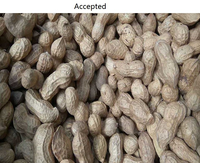 High Resolution pistachio Cashew Nut Color Sorter