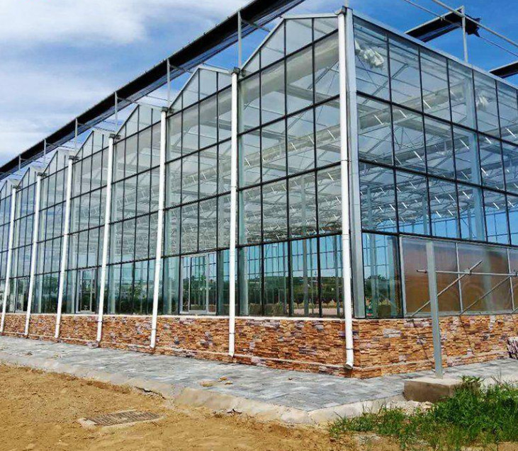 4mm tempered greenhouse glass