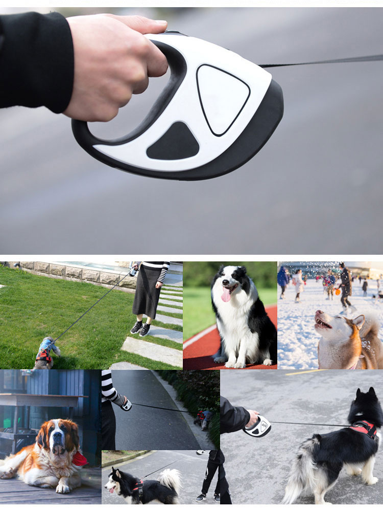 Small Medium Lighted Dog Leash Retractable 10ft 16ft Extendable Dog Lead With Torch
