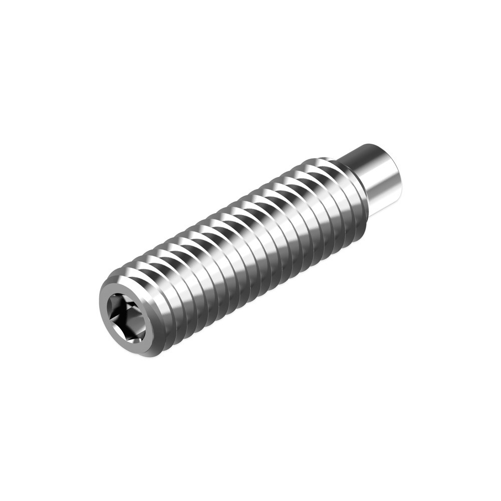 DIN 915 Socket Set Screw Dog Point Socket Head Fasteners M3-M24 316 Stainless Steel Bolts