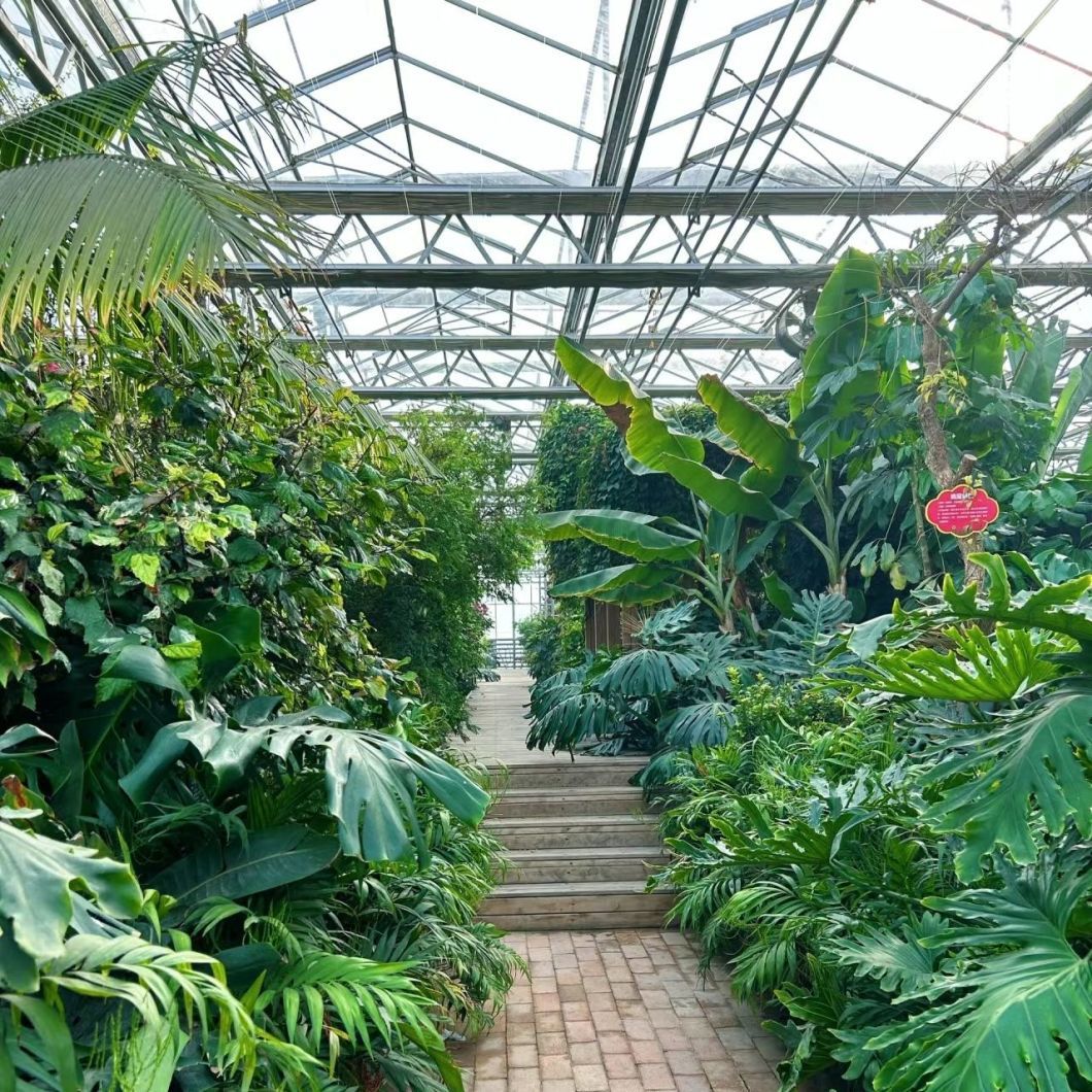 Venlo Hollow Double Layer Tempered Glass Greenhouse with Hydroponics Growing System