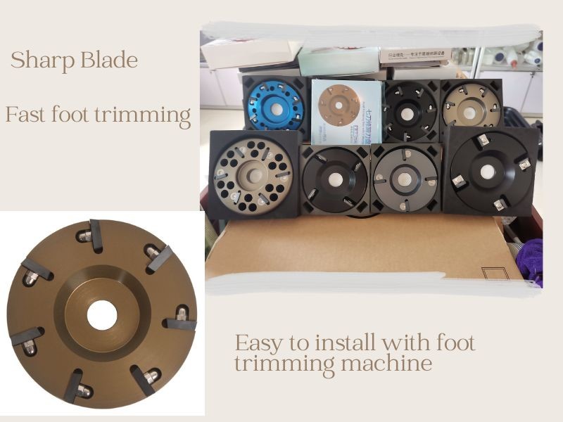 8 Blades Hoof Trimming Disc
