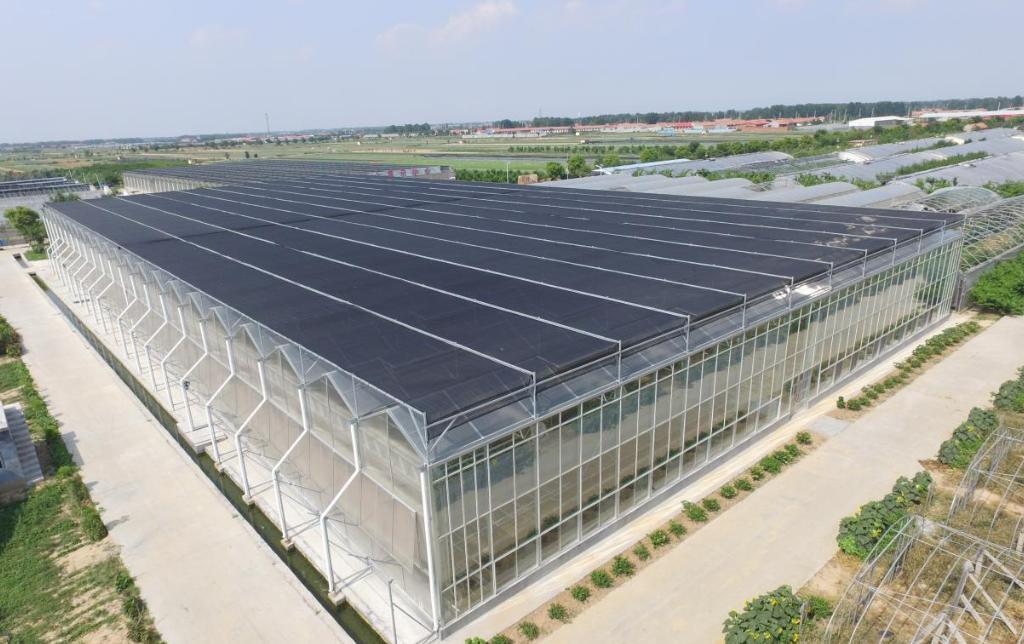 Vertical Farming Container Greenhouse with Substrate Culture System