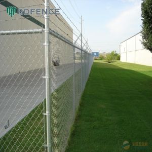 Long-Lasting Galvanized Chain Link Fencing with PVC Coating for Outdoor Use