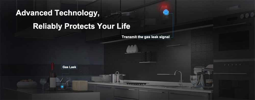 0-999ppm ABS Smart Carbon Monoxide Alarm , CO Gas Leak Detector With LCD Display