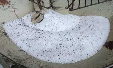 Waterproof HDPE Landfill Geomembrane Liner 1mm 1.5mm Pond Dam Liner Prices in Kenya