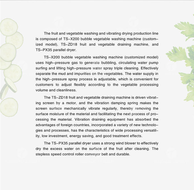 1000KG/H Fruit And Vegetable Processing Line Bubble Washing And Vibrating Drying