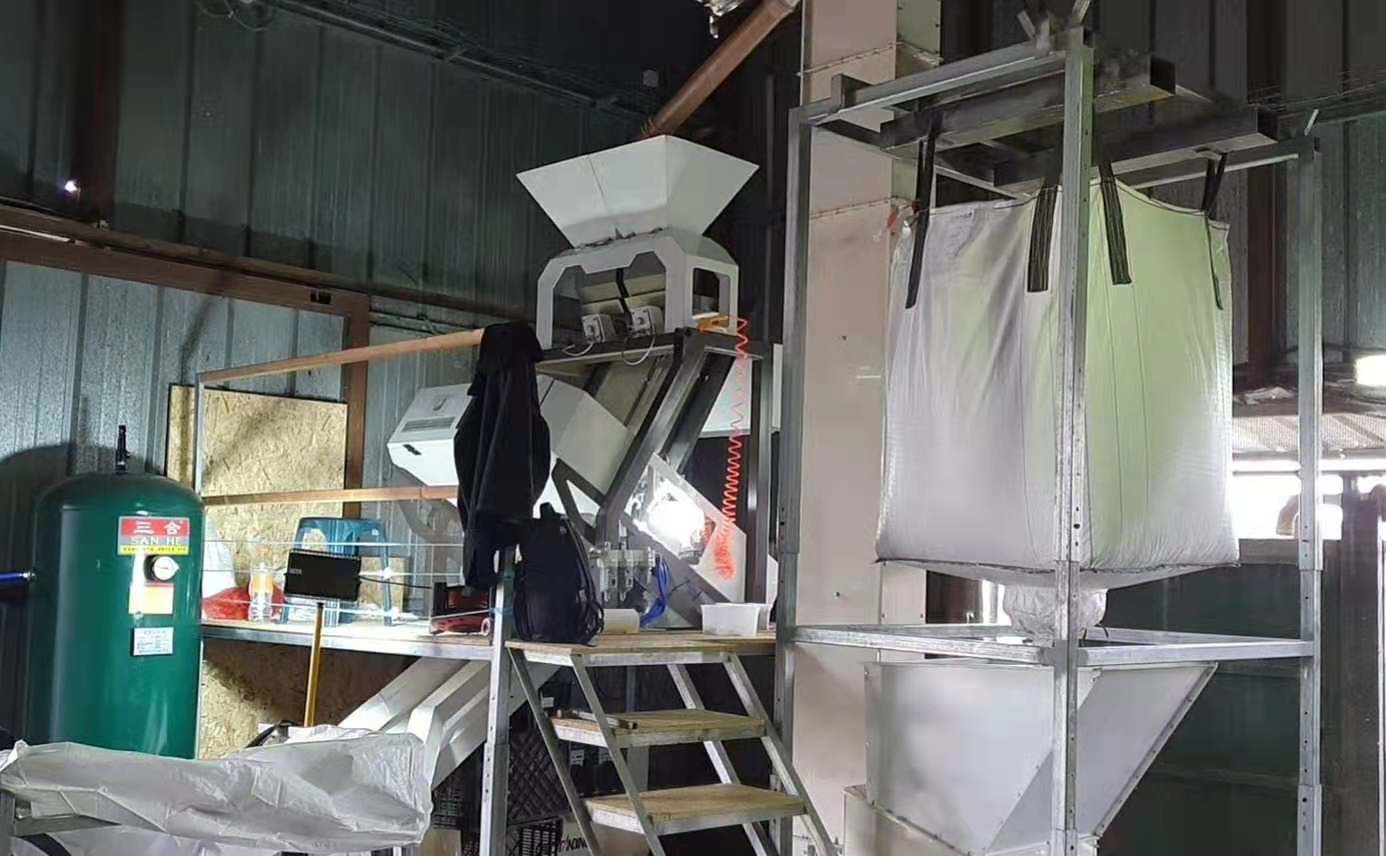 4 Chutes High Capacity Automatic Yellow Bean Green Bean Color Sorter Popular in the USA