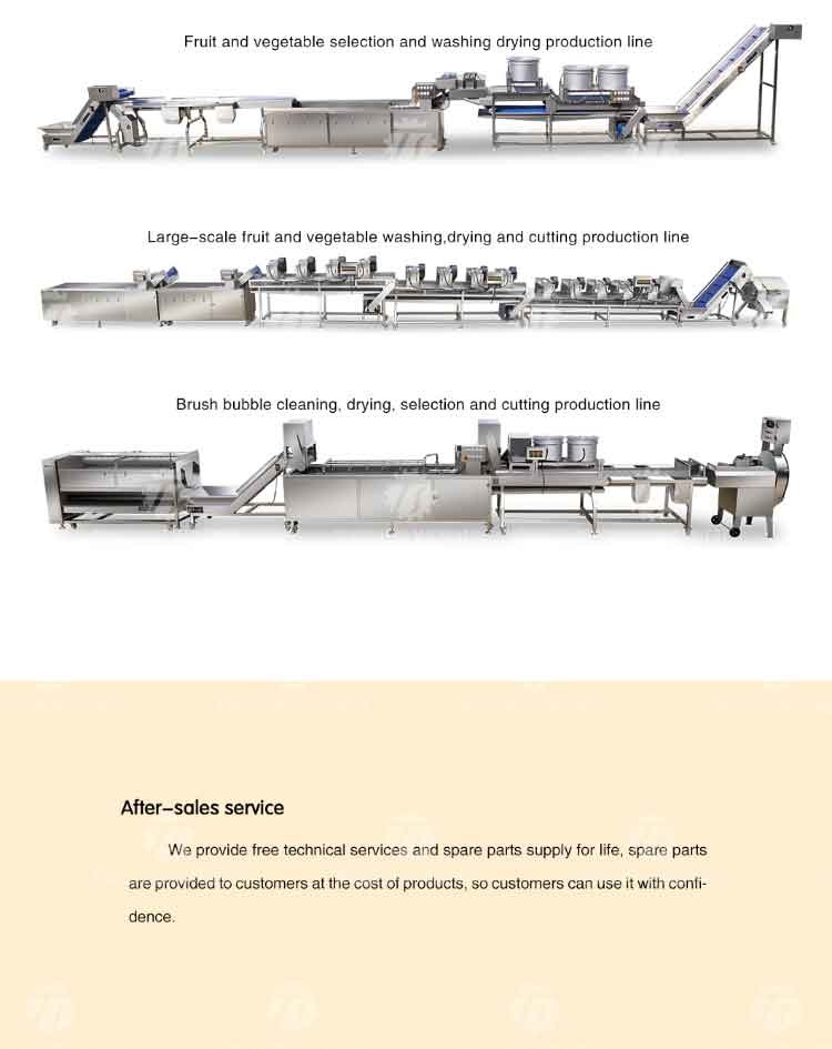 Automatic Stainless Steel Carrot Peeling Machine 0.1kw Food Processing Line