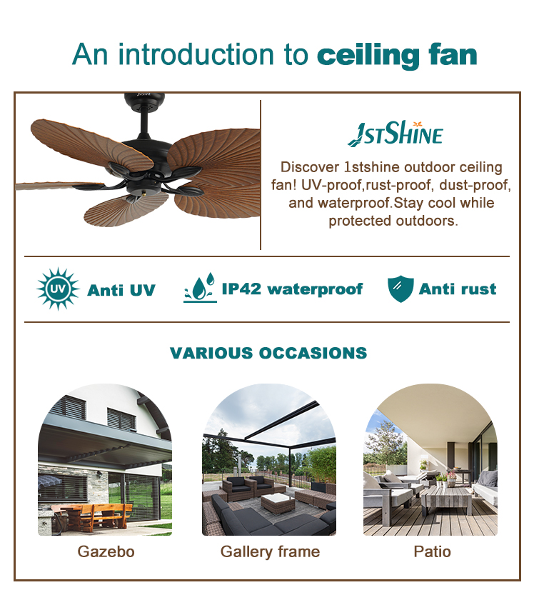110-240V/50Hz-60Hz Outdoor Ceiling Fan with Remote Control 6 Speeds Waterproof IP42