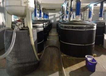 Twin International Co., Limited