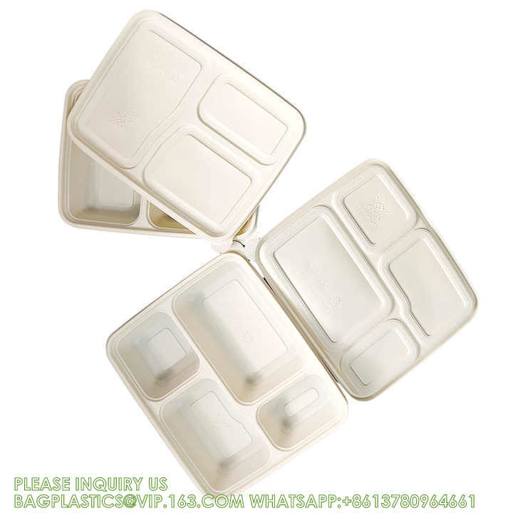 Disposable Biodegradable Sugarcane Bagasse Pulp Food Container Take Away Lunch Box Sugar Cane Food Container