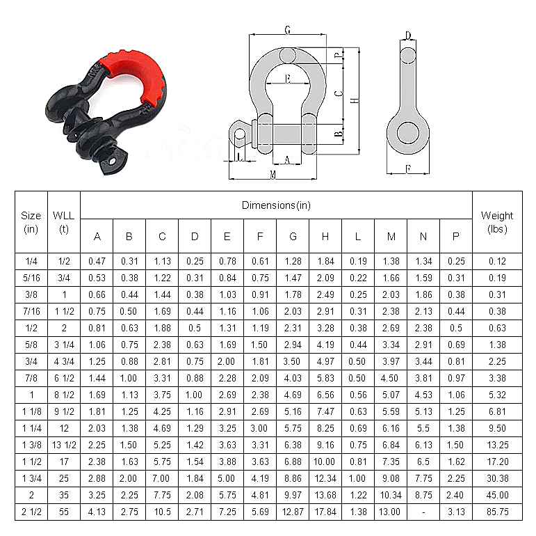 Drop Forged D Ring Shackles Hitch Receiver Trailer Shackle Set Metric Stainless Steel