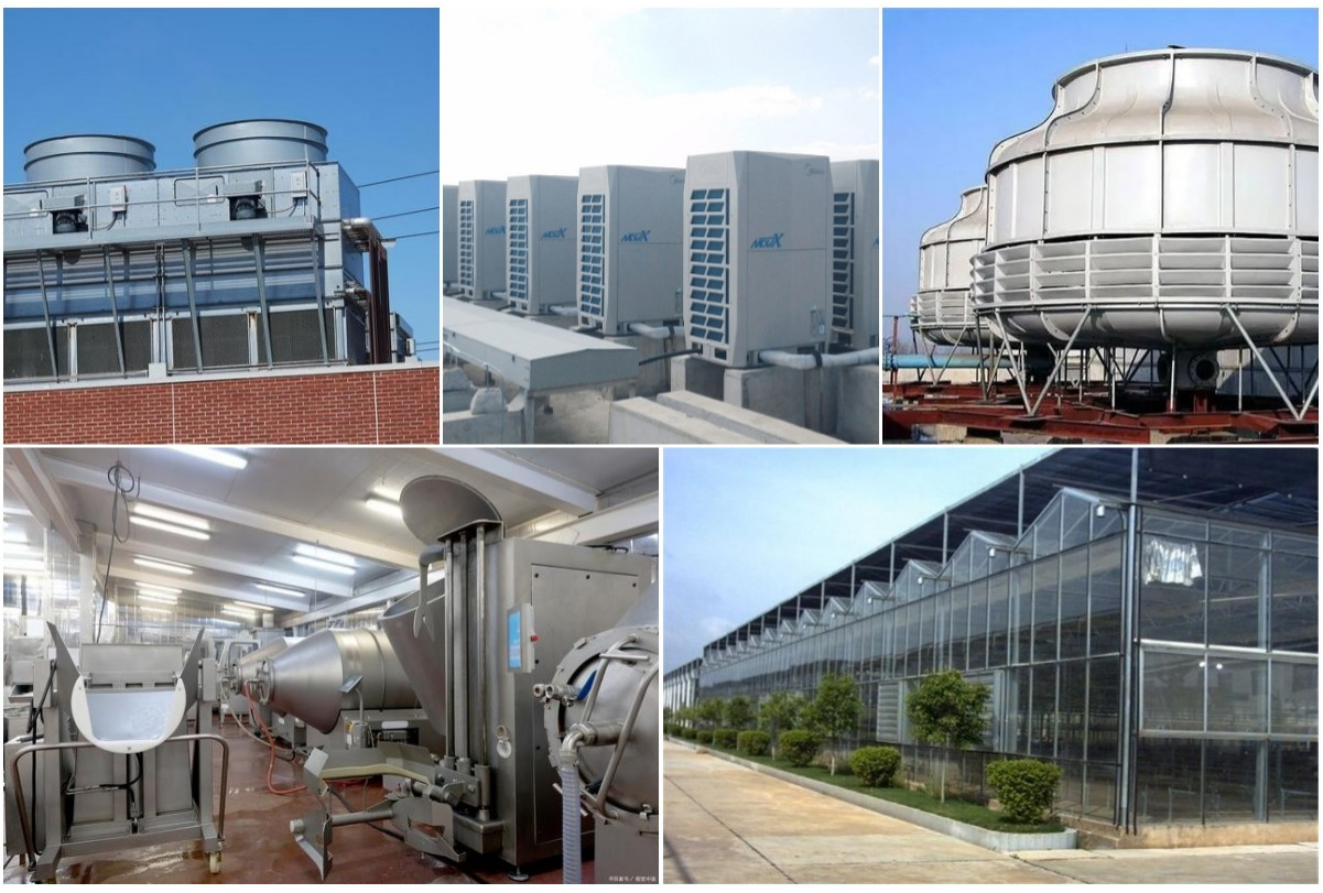 Construction Galvanized Steel Coil Sheet 2000mm 2440mm Galvalume Steel Coil
