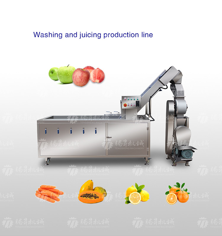 Pears Oranges Papaya Fruit Juice Processing Line Ozone Disinfection
