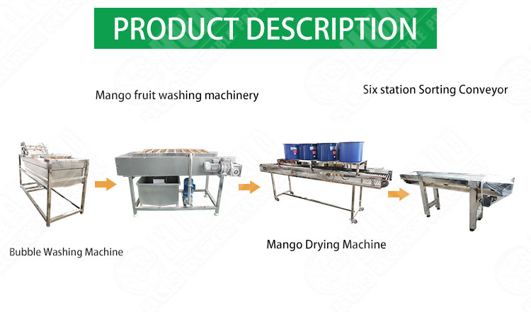 Industrial Date Packing Machine Date Palm Processing Line Date Cleaning And Dryer Machine