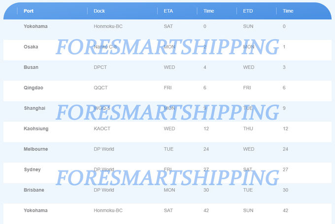 Shanghai To Brisbane Oceania Shipping , 20FT Container Shipping