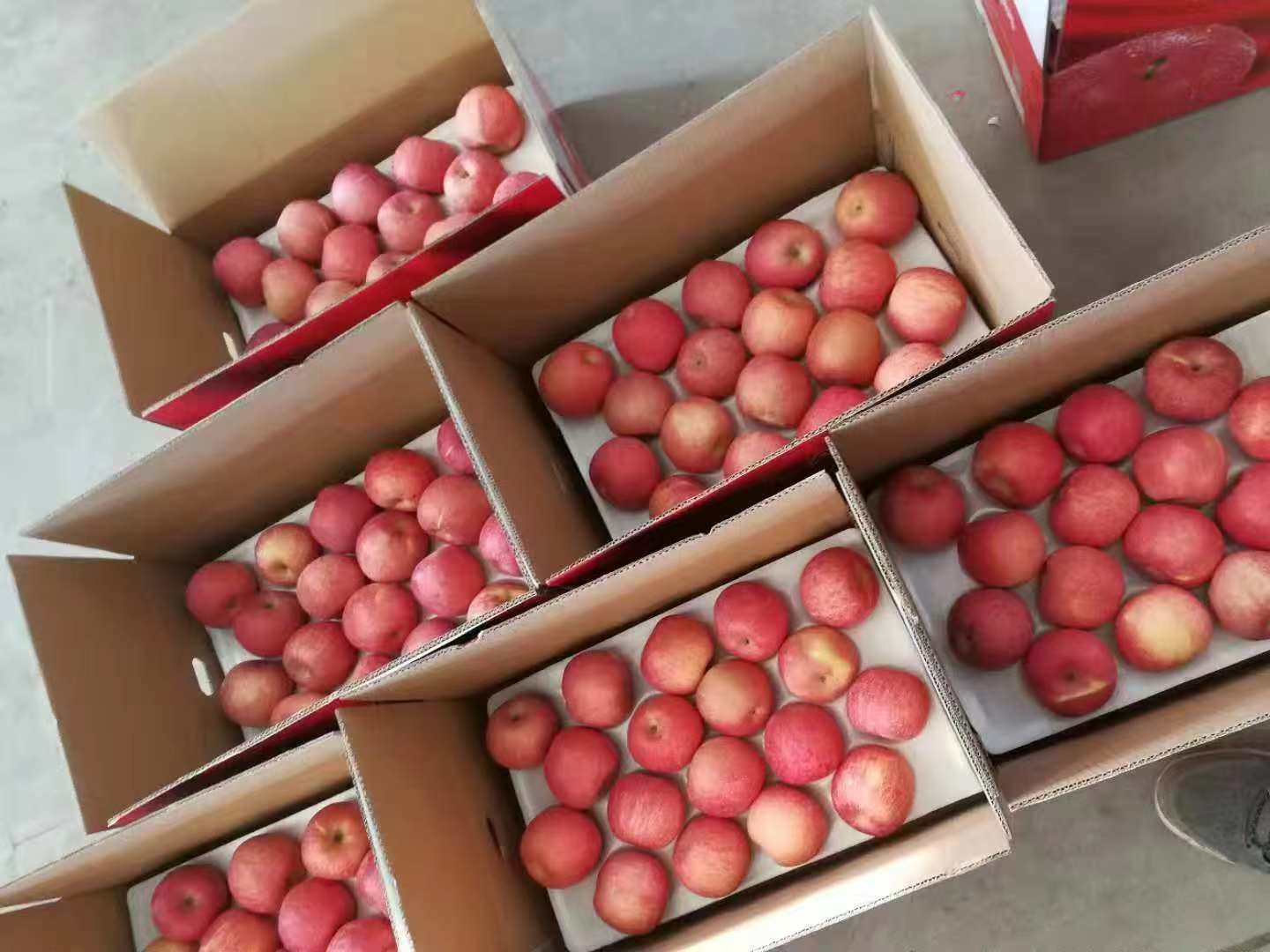 Round Farm Fresh Apples