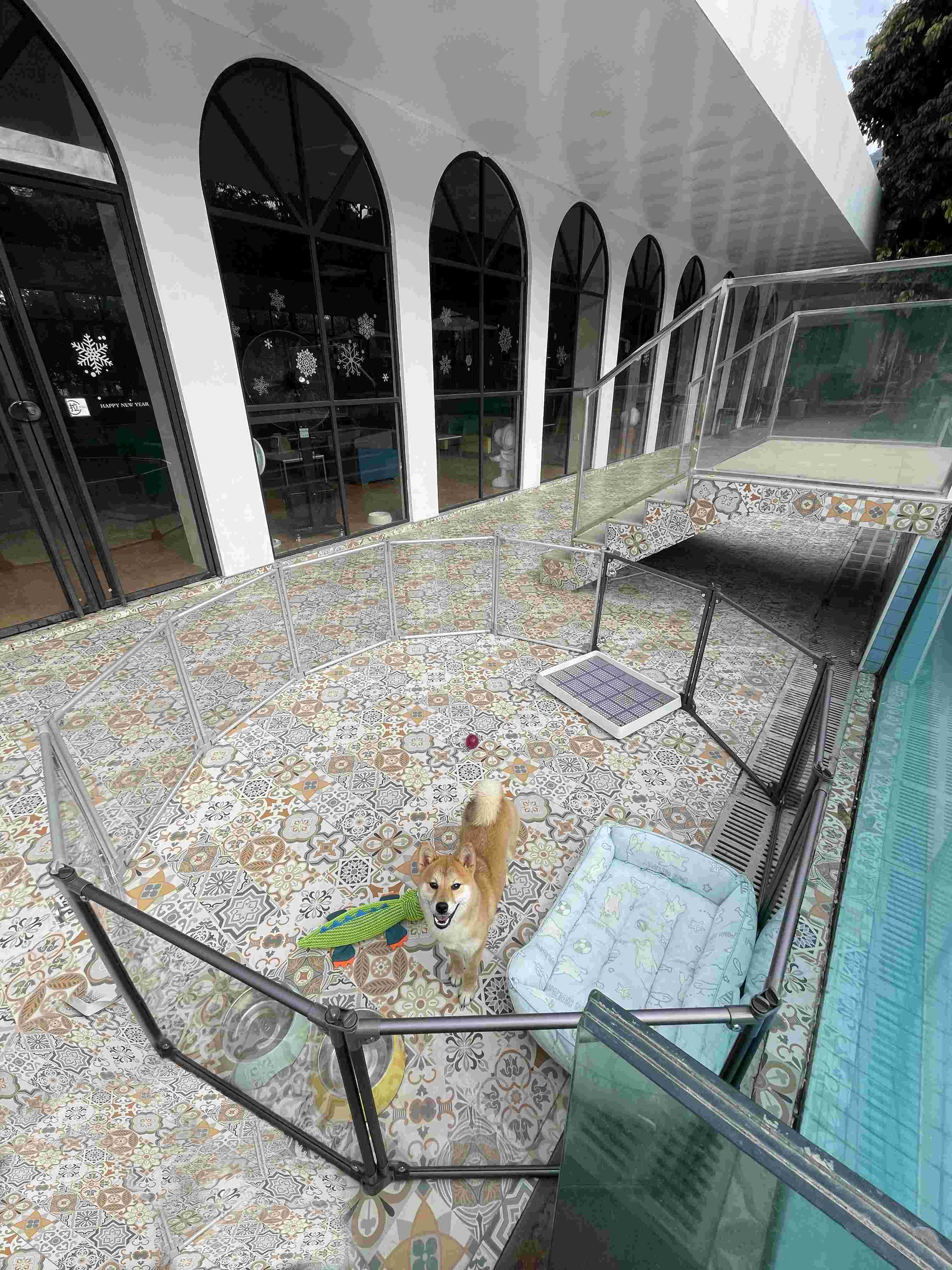 Outdoor Metal Portable Pet Fences For Yard Pool And Garden