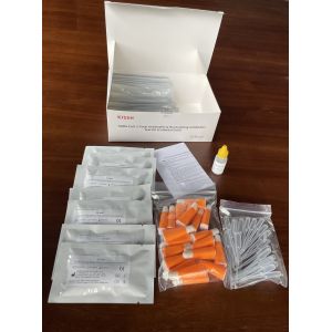 SARS-CoV-2 Total Antibodies Neutralization Antibody Detection Kit GICA