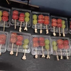 Customized Disposable Plastic Transparent Pet Foods On Stick Packaging Hidden