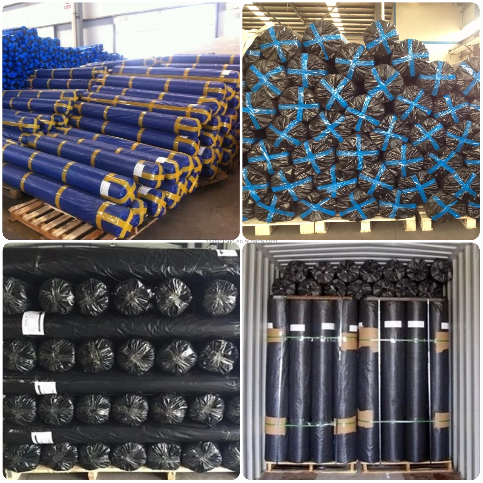 High Intensity Biaxial Glass Fiber Geogrid for Earth Working PP Plastic Biaxial Geogrid