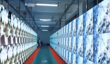 HK Brilliance International Technology Ltd.
