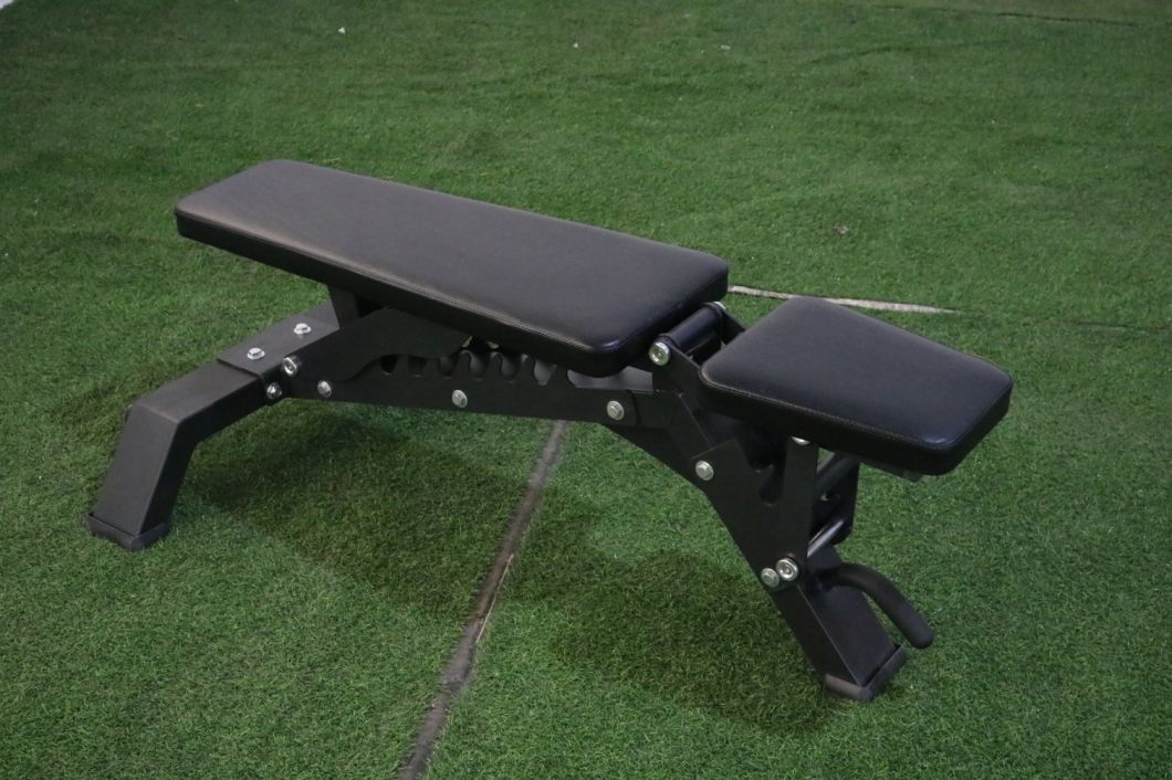 Adjustable Incline Dumbell Bench Gym Multi-Purpose with Leg Extension Weights Stand Rack Strength Training Benches