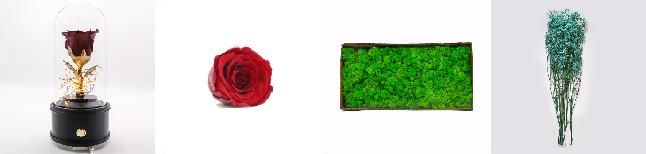 Fashion Dried Long Stem Rose Flower In Glass With Beautiful Appearance